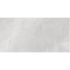 Керамогранит полированный 60120AMB15P Armani Marble Gray 600*1200*8