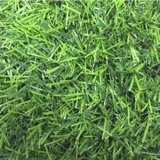 Искусственная трава 10 мм (2*25 м/п 30 м/п)