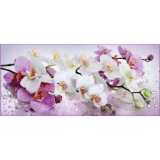 Декоративное панно Орхидея 294х134 (6 листов)