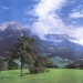 Декоративное панно Альпийский луг 294х201  (9 листов)- купить, цена и фото в интернет-магазине Remont Doma