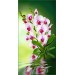 Купить Декоративное панно VIP Орхидея 261х134 (6л)  в Клинцах в Интернет-магазине Remont Doma