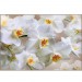 Купить Декоративное панно Белая орхидея 196х134 (4 листа) в Клинцах в Интернет-магазине Remont Doma