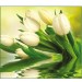 Купить Декоративное панно VIP Белые тюльпаны 294х260 (12 листов)   в Клинцах в Интернет-магазине Remont Doma