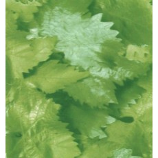 Пленка самоклеящаяся COLOR DECOR 0,45х8м Зеленые листья 8592