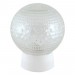 Светильник TDM НББ 64-60-025 УХЛ4 шар стекло "Цветочек" (прямое основание)  - купить по низкой цене | Remont Doma