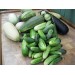 Купить Удобрение Агровита для огурцов  и кабачков 100г в Клинцах в Интернет-магазине Remont Doma
