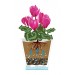 Купить Горшок цветочный для орхидеи "Лея" 5 литров (с автополивом)(прозрачный)  в Клинцах в Интернет-магазине Remont Doma