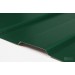 Купить Профнастил С-8 RAL 6005 зеленый мох 0,35х1200х2000 мм в Клинцах в Интернет-магазине Remont Doma